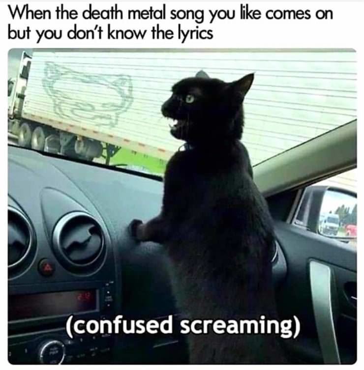 Death Metal Sing Along