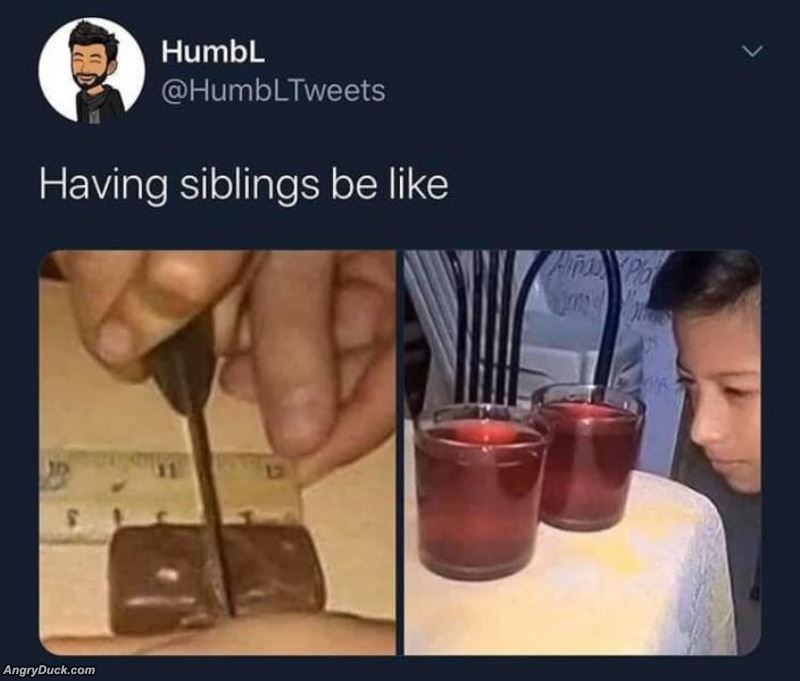 Having Siblings