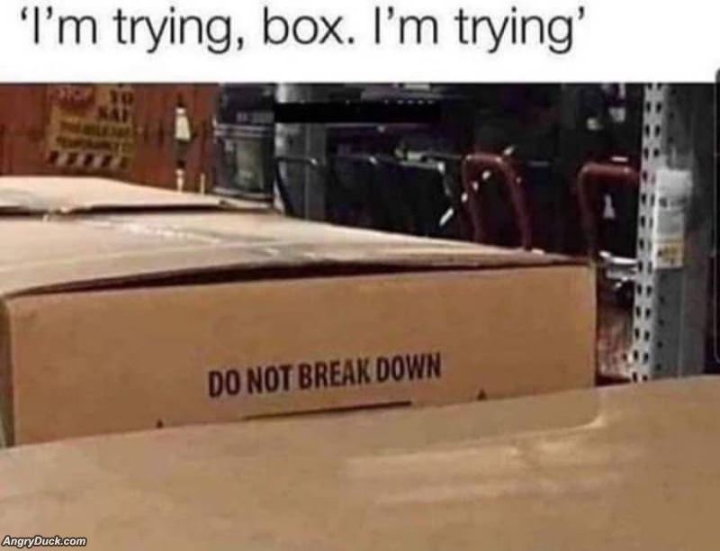 I Am Trying Box