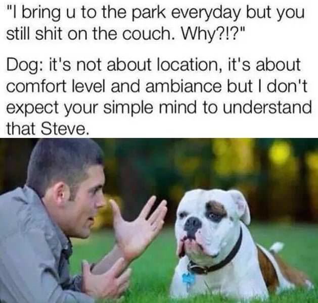 I Bring You To The Park