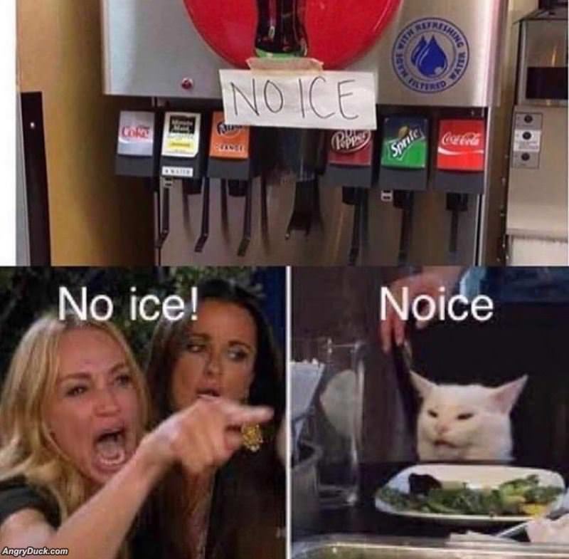 No Ice