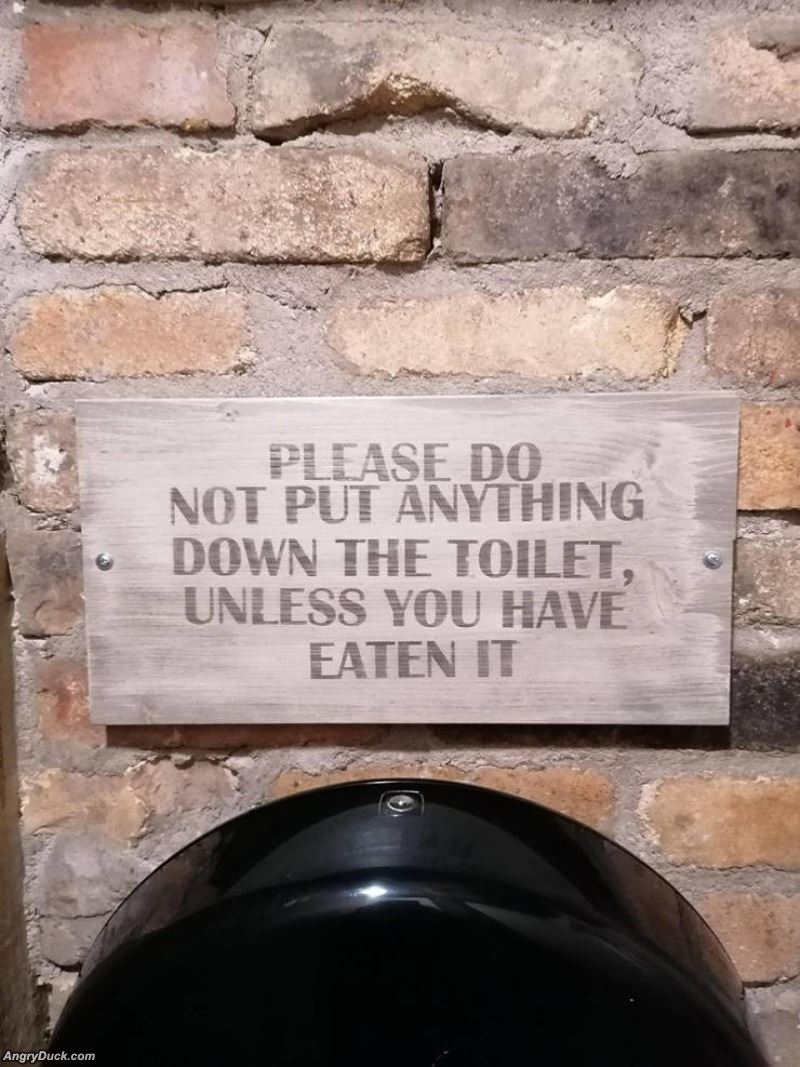 Nothing Down The Toilet