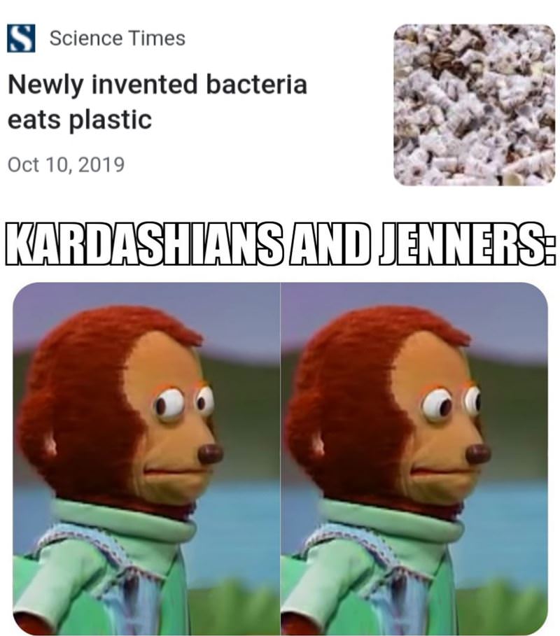 Plastic Eating