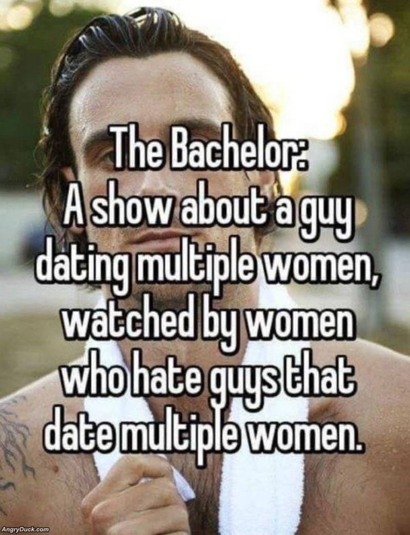 The Bachelor