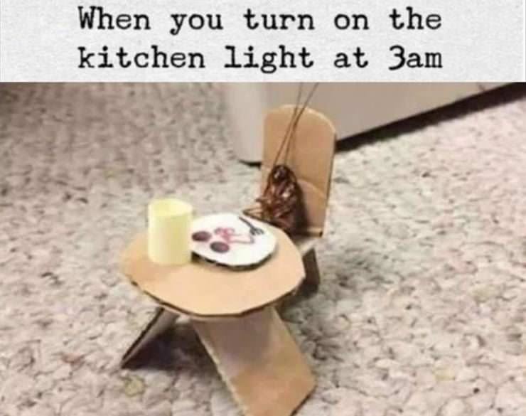 Turn On The Kitchen Light
