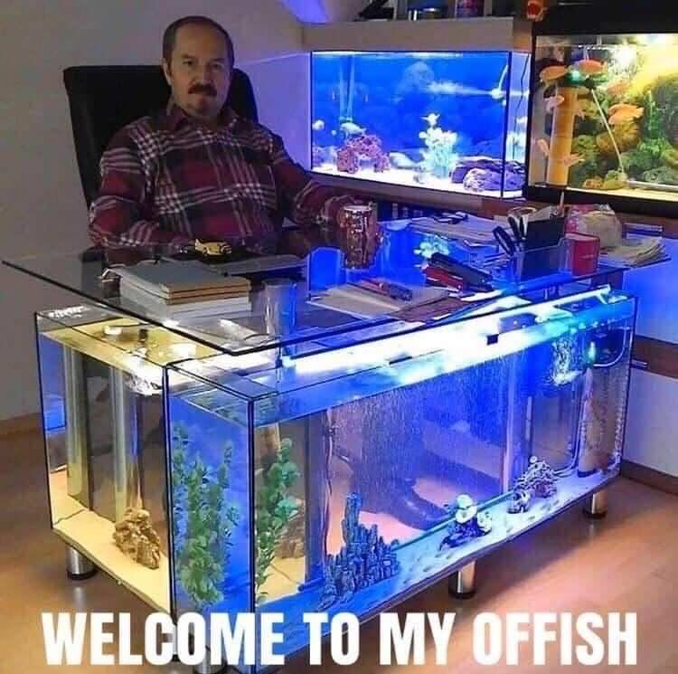 Welcome To My Offish