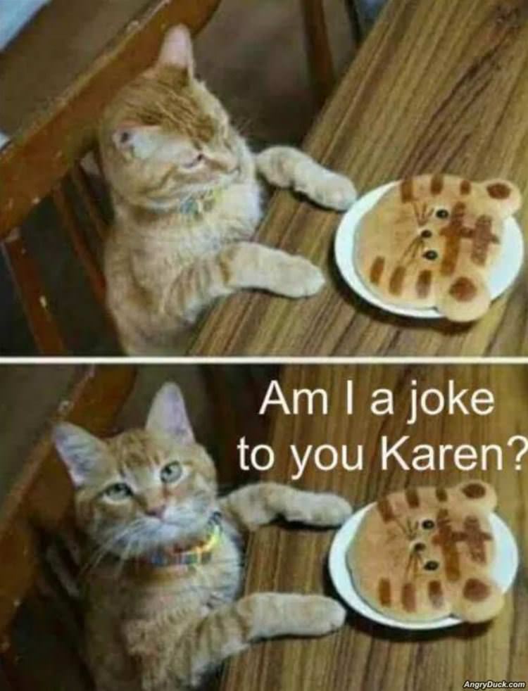 Am I A Joke To You