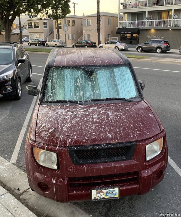 Better Clean That Up