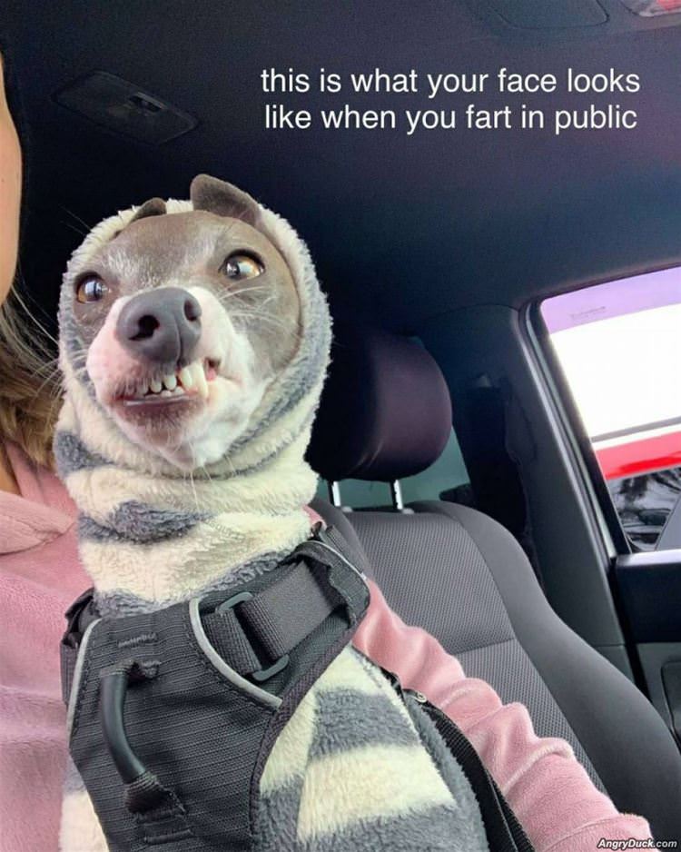 Farting In Public