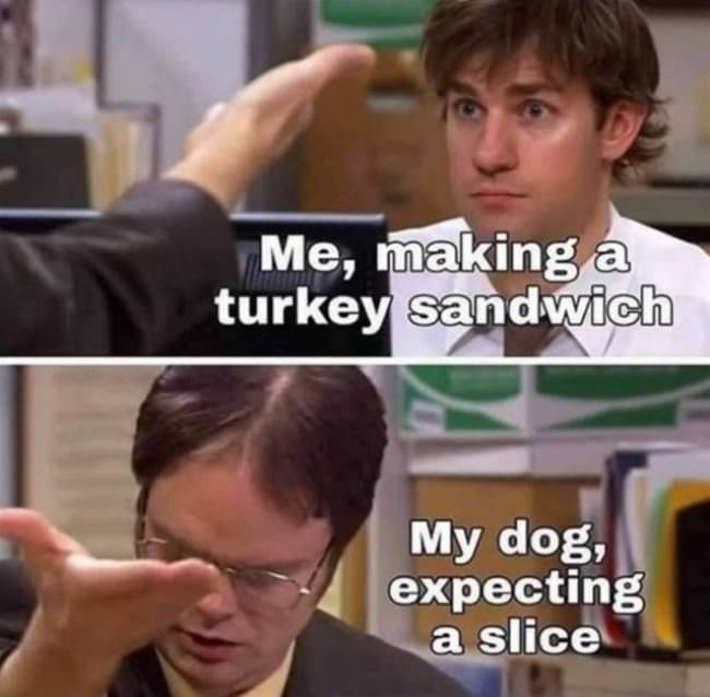 Making A Sandwich