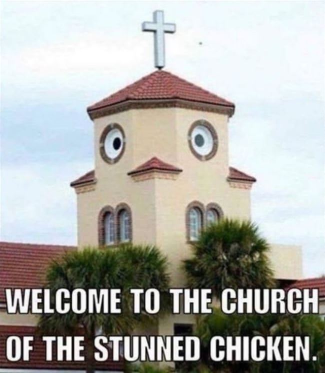 The Stunned Chicken