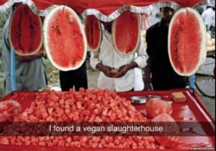 Vegan Slaughterhouse