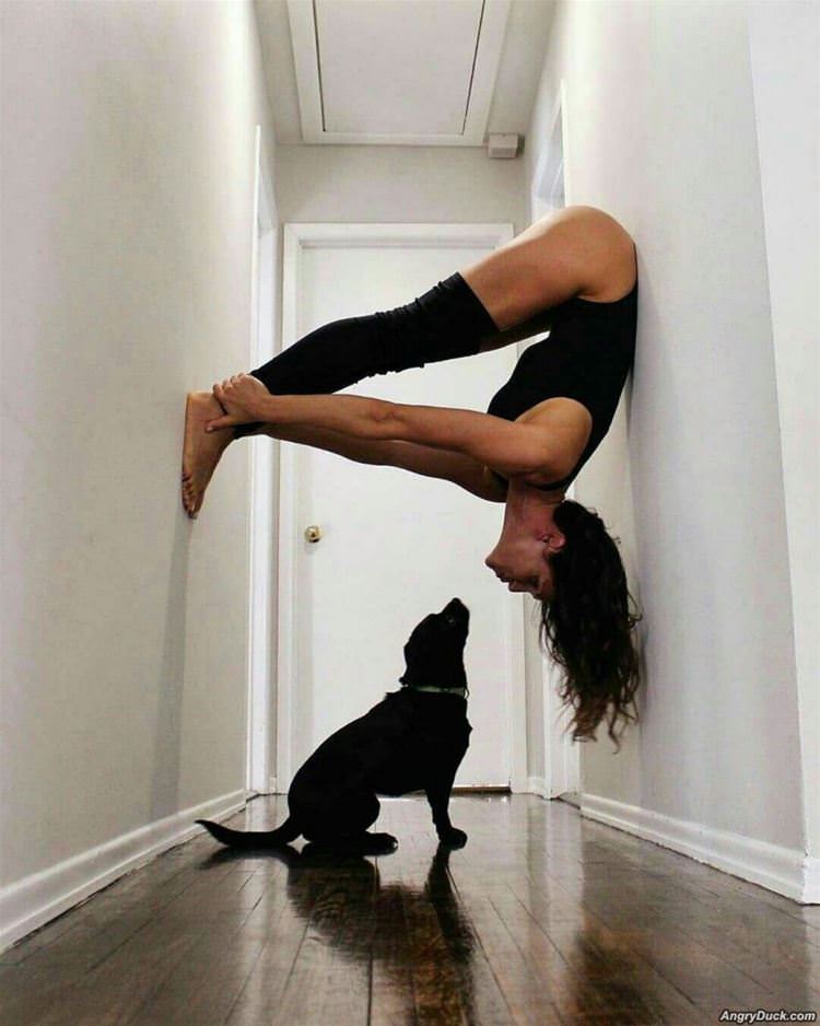 Yoga With Doggo