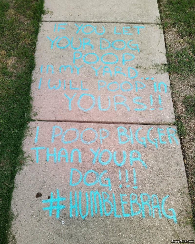 Does Not Like Dog Poop