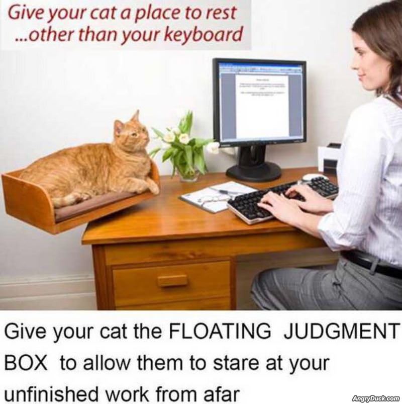 Floating Judgment Box