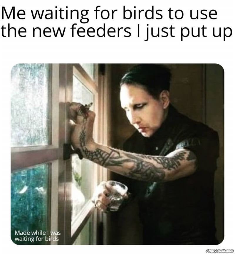 Waiting On The Birds