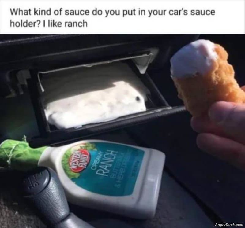 What Do You Put In Here