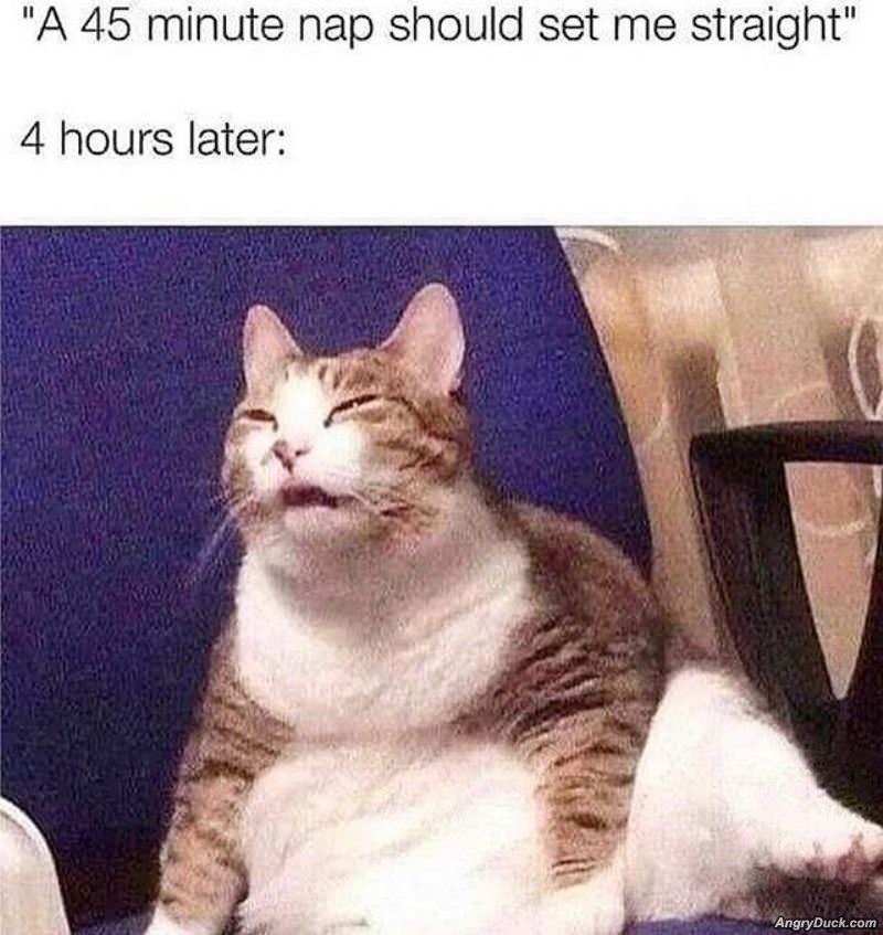 45 Minute Nap Should Do It