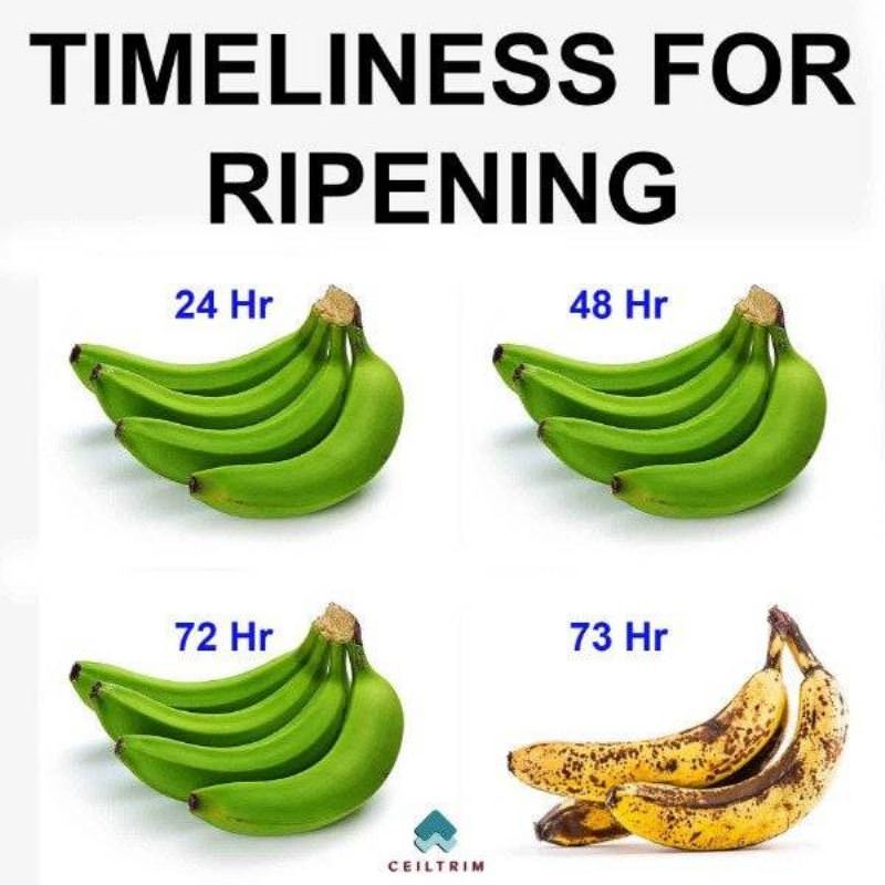 Banana Ripening
