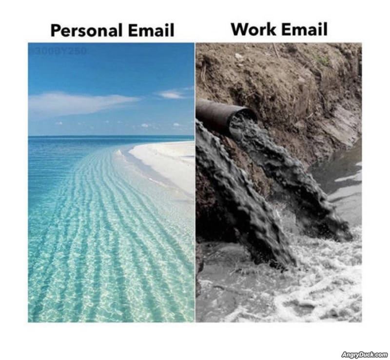 My Emails