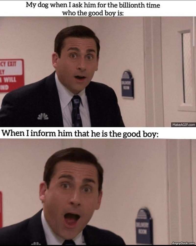 Whos The Good Boy