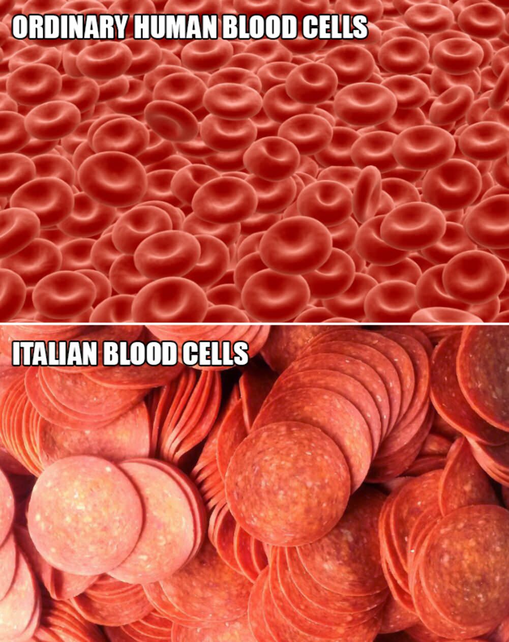 blood cells