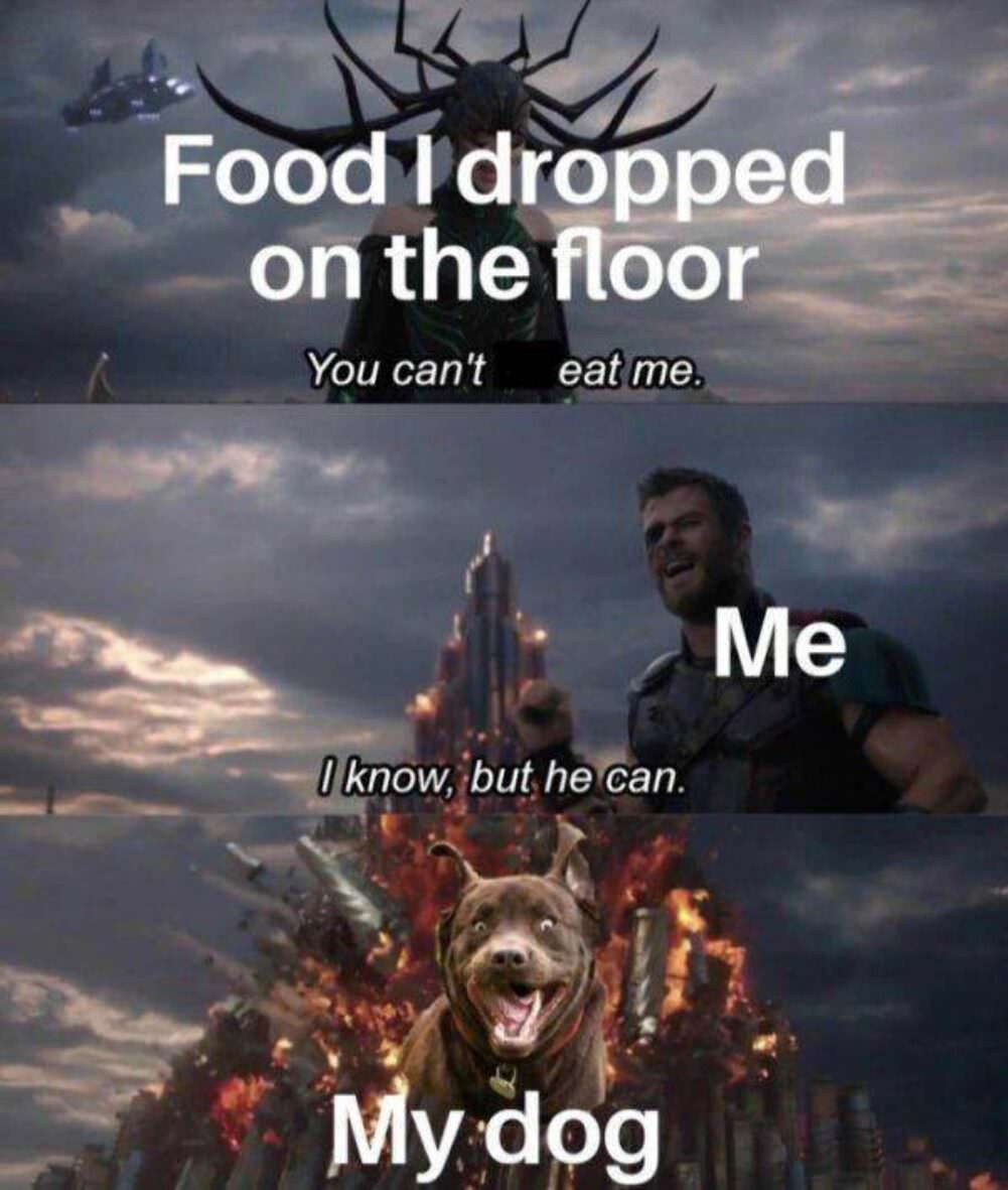 dropped my food