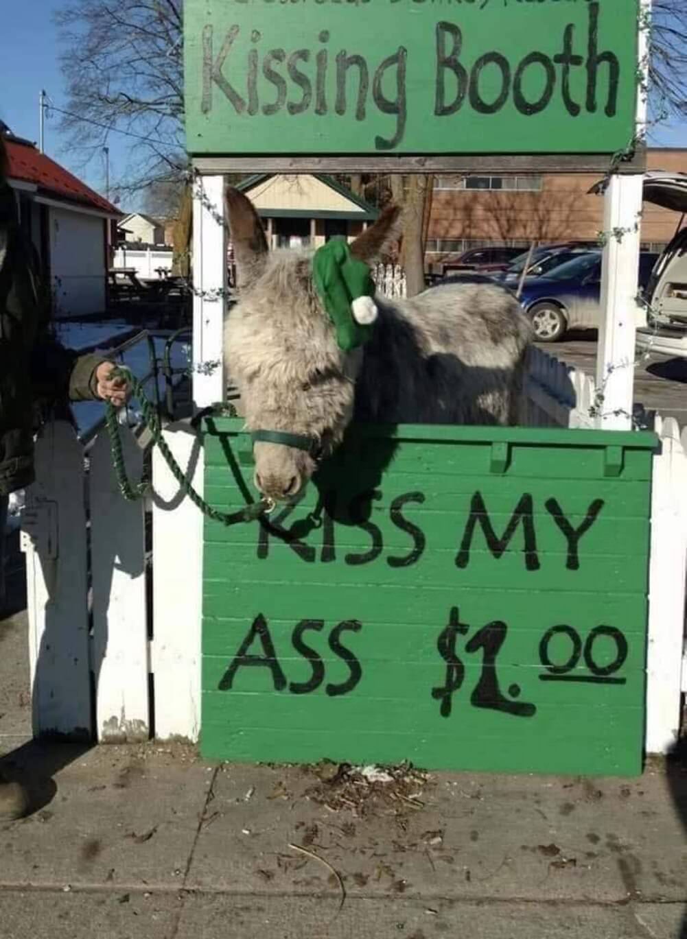 kiss my ass