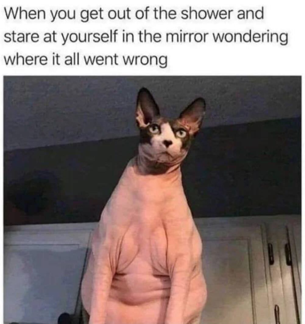 where did it go wrong