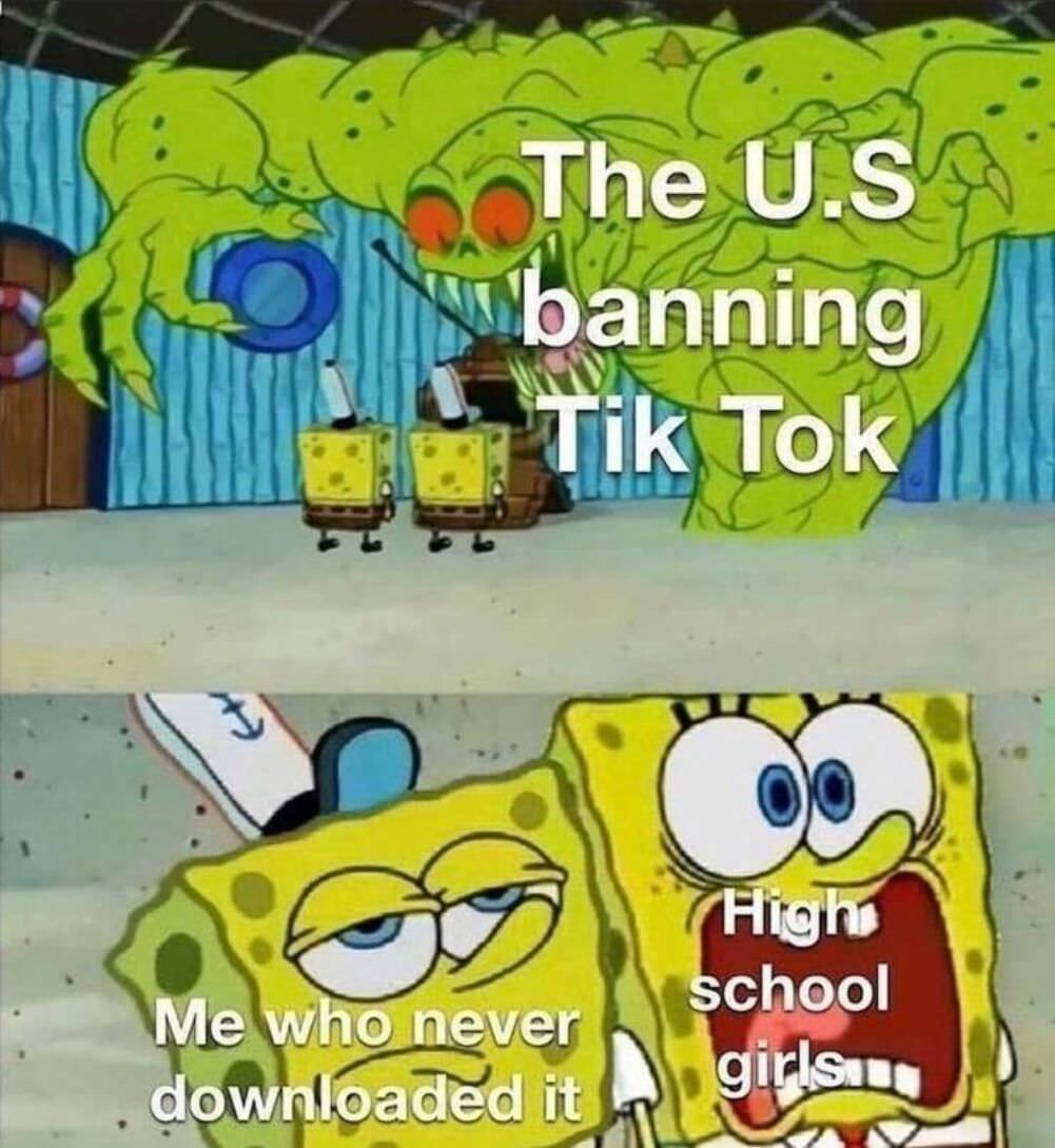banning tiktok