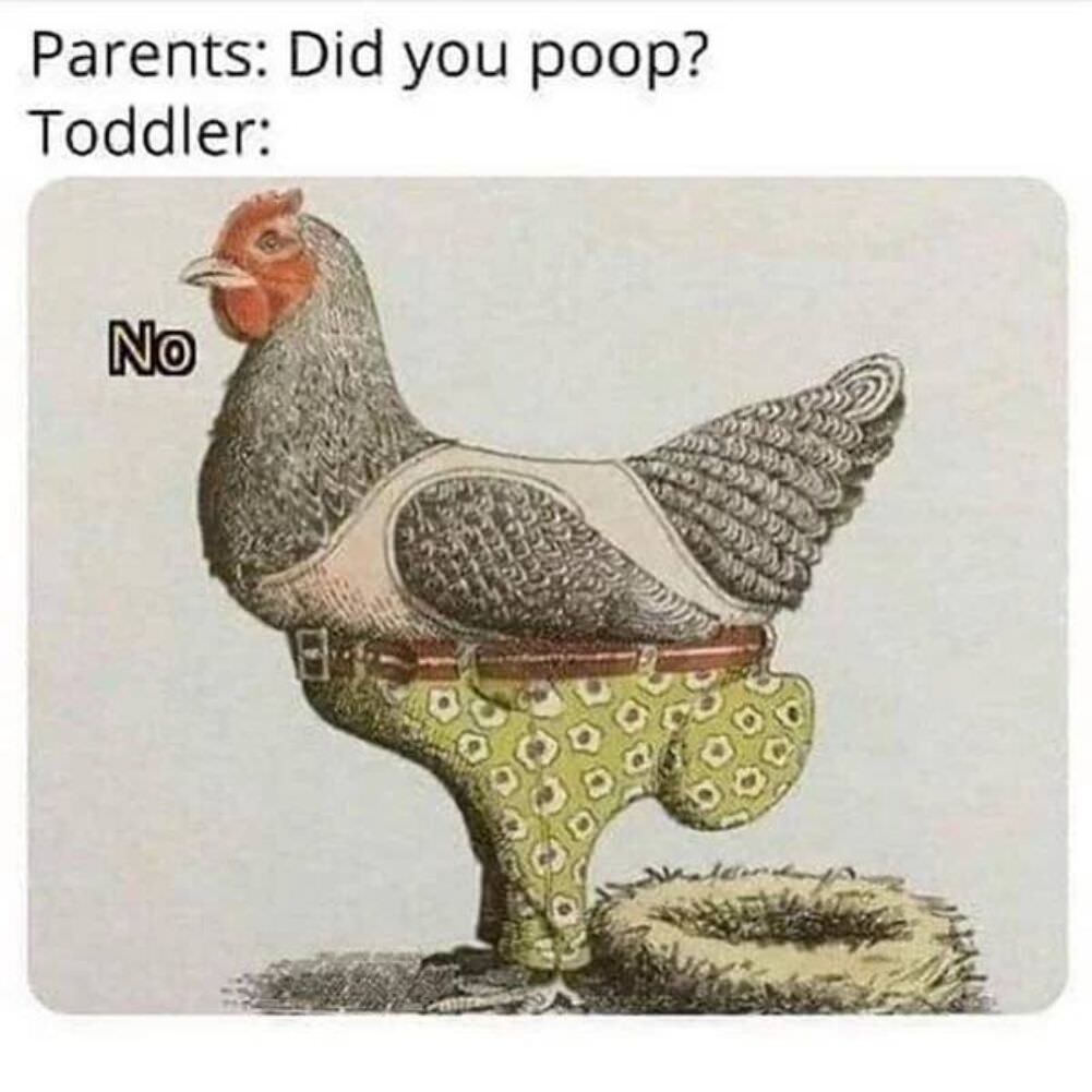 did you poop