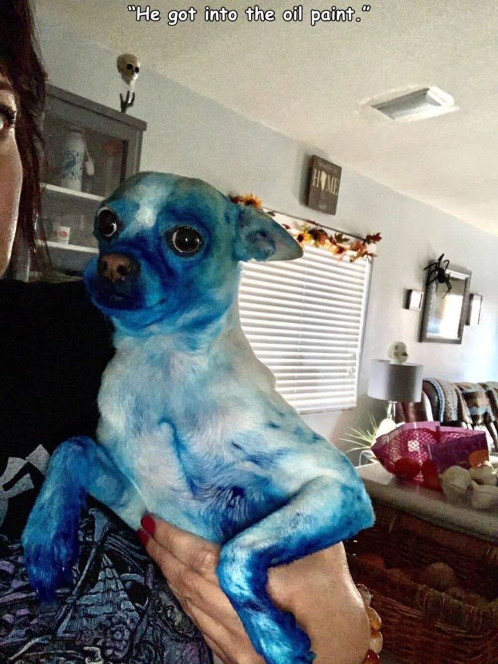 got into the oil paint