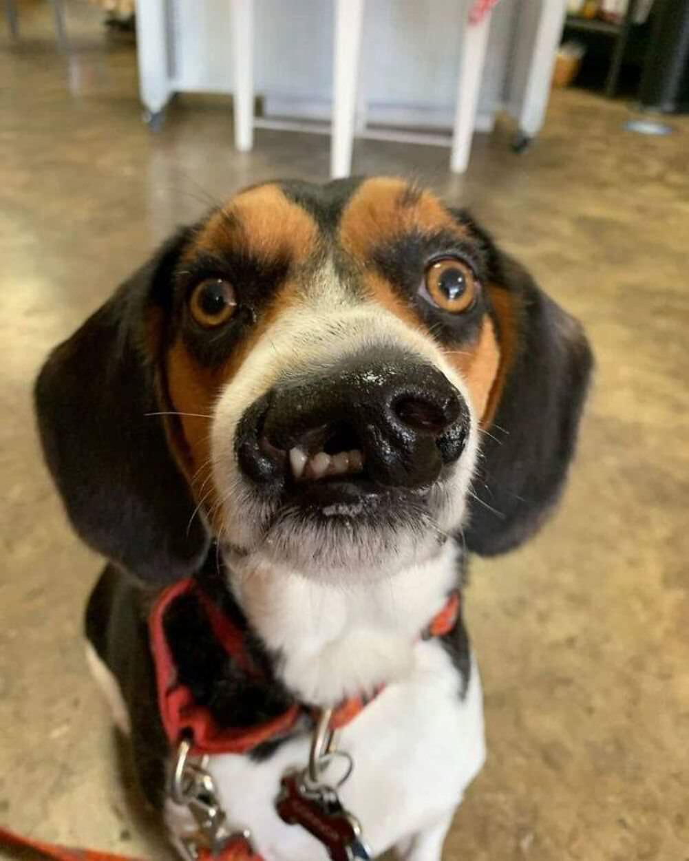 i can see your teeth