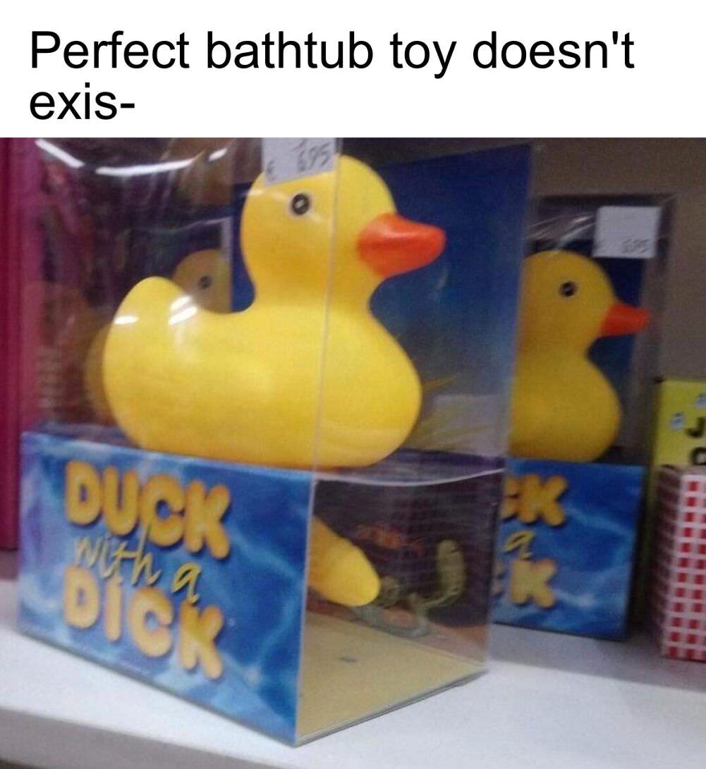 the perfect bathtub toy
