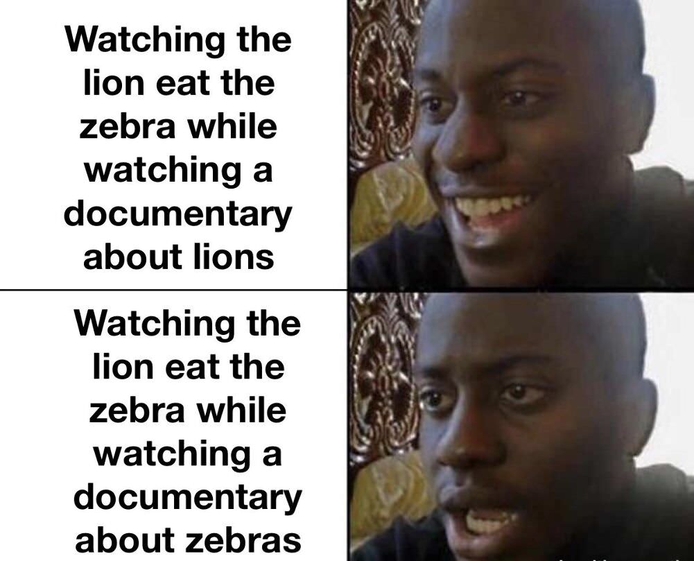 watchign the lion