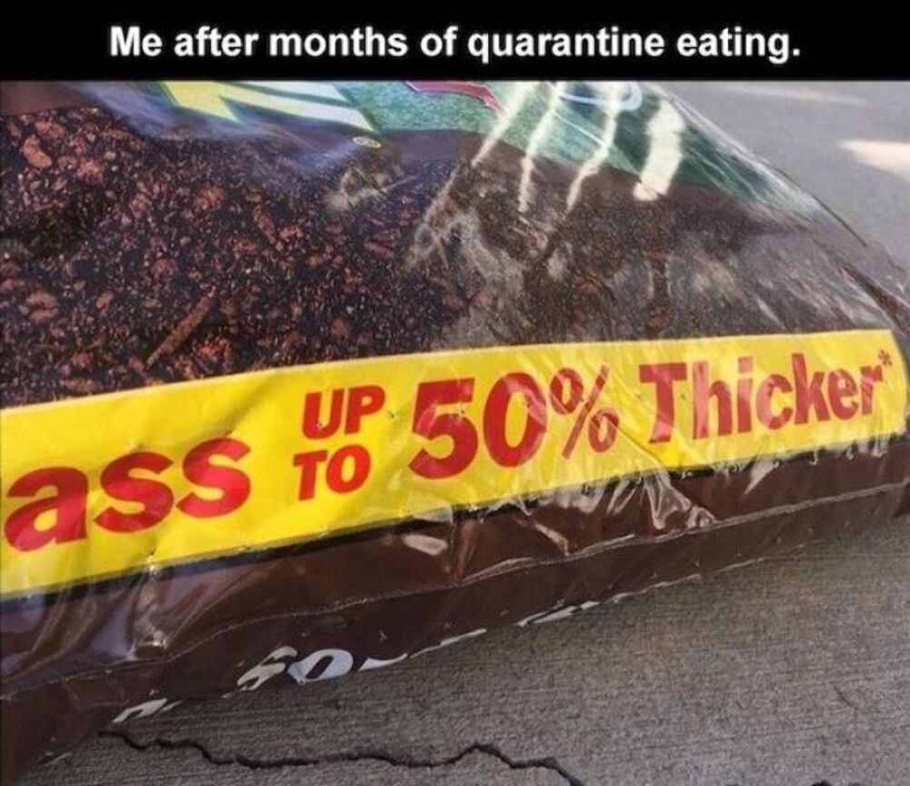 after months of quarantine