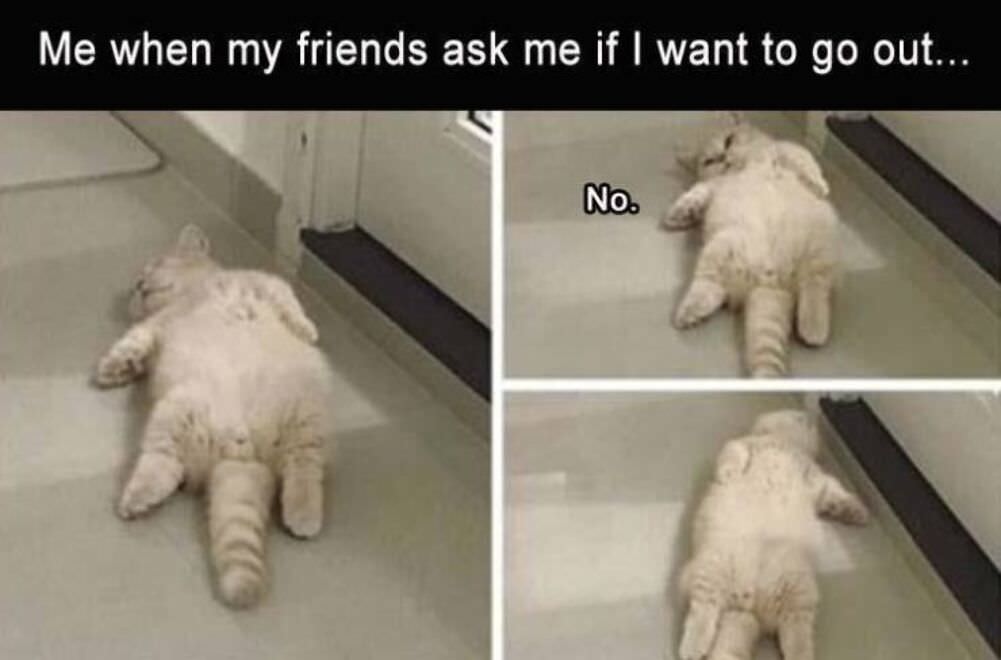 do you want to go out