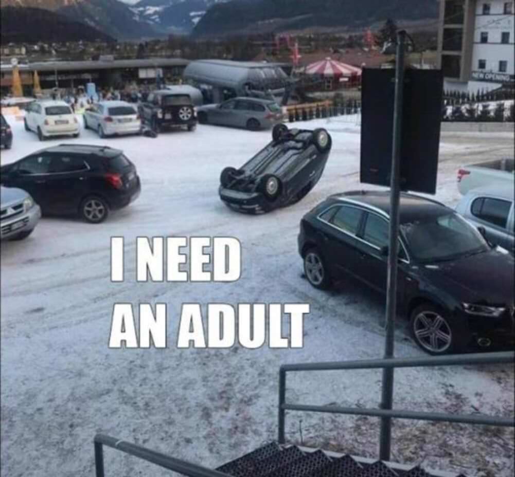 i need an adult