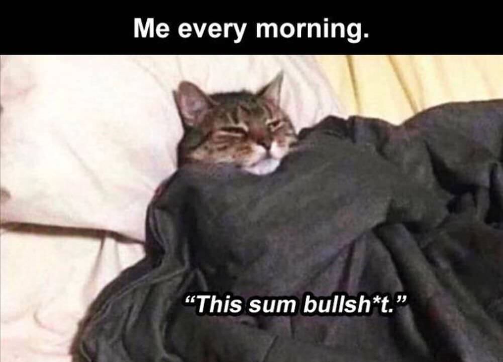 me every morning
