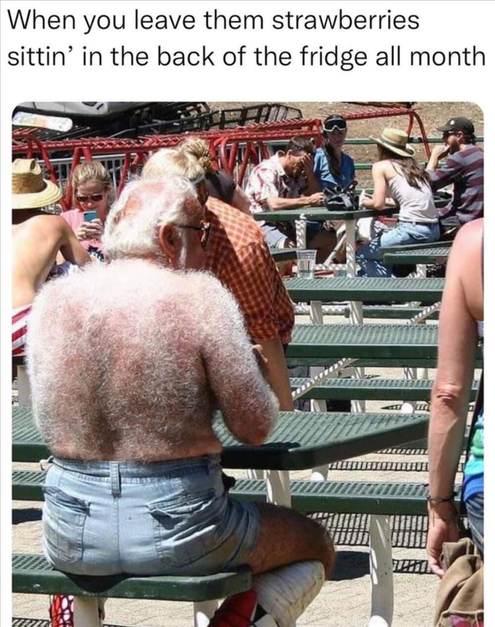 left them in the fridge