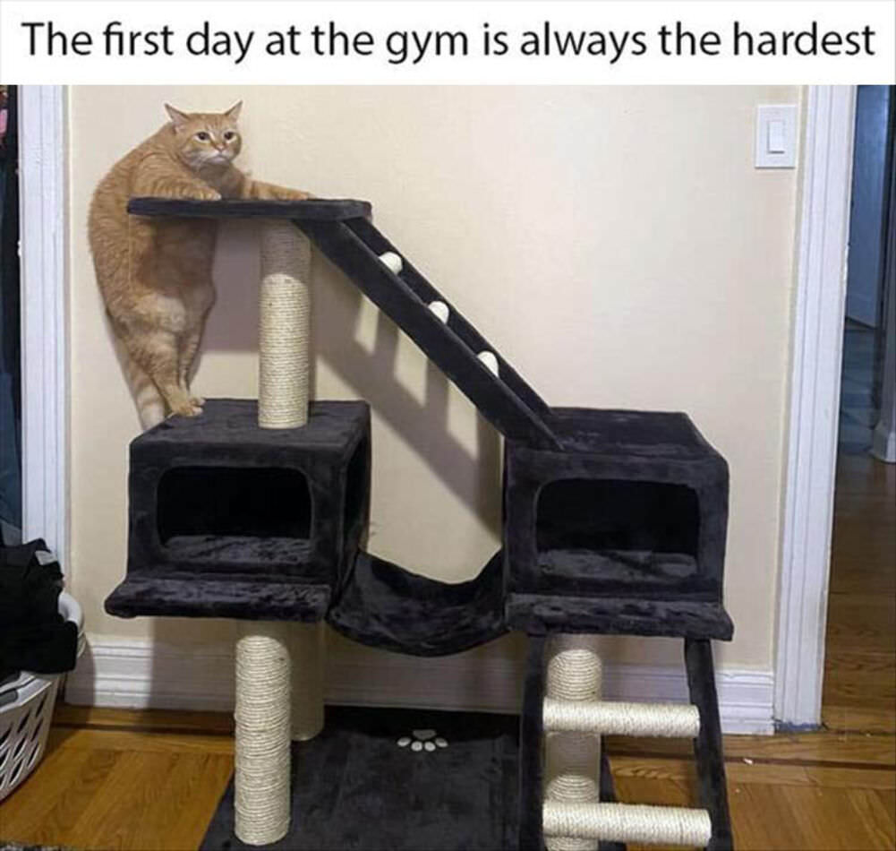 the first day is the hardest