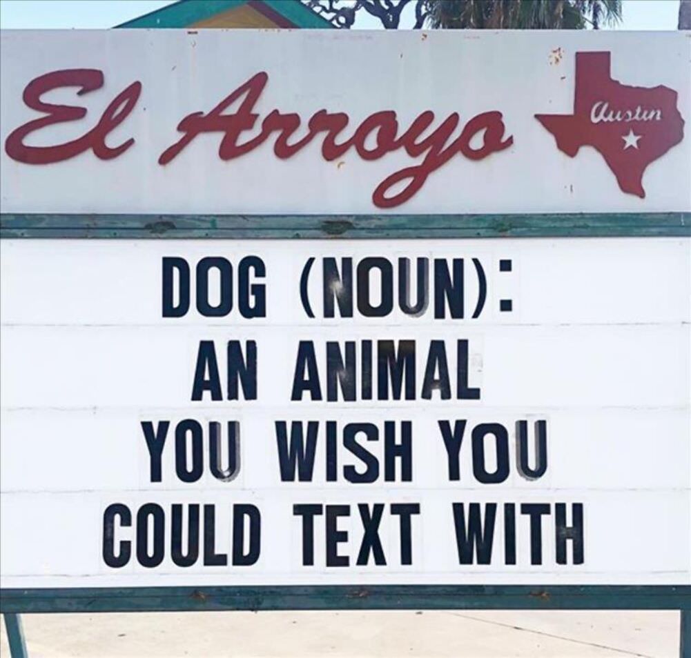 your dog