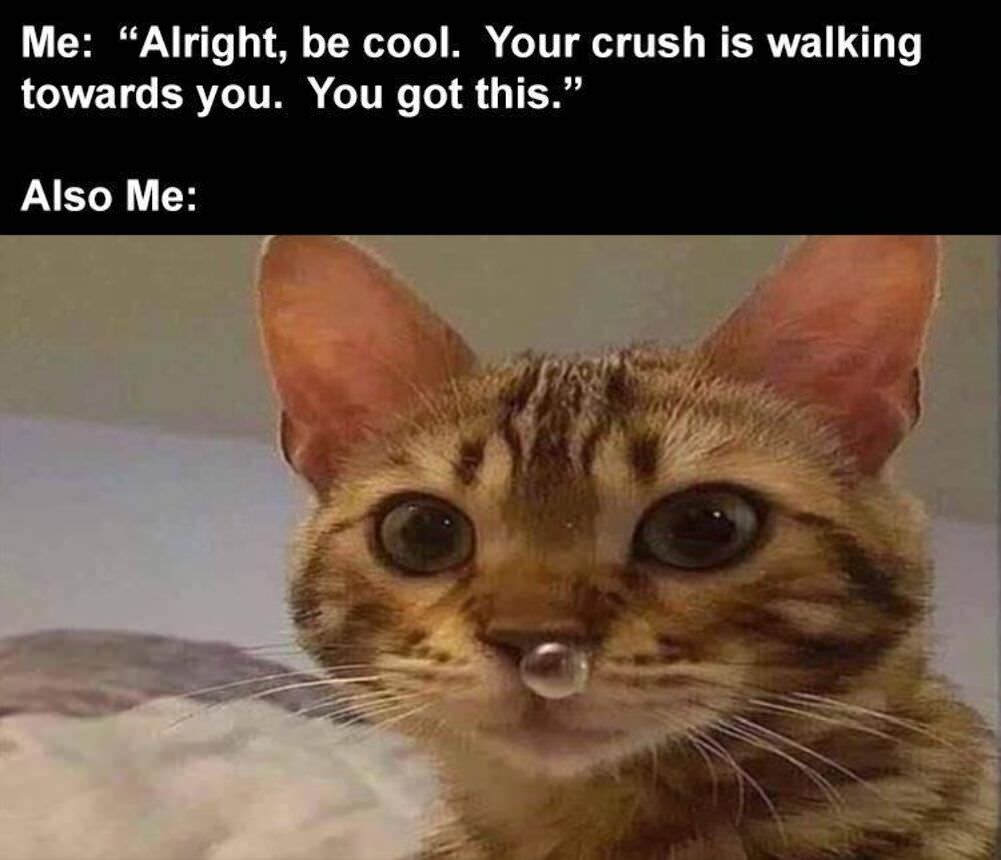 alright you got this