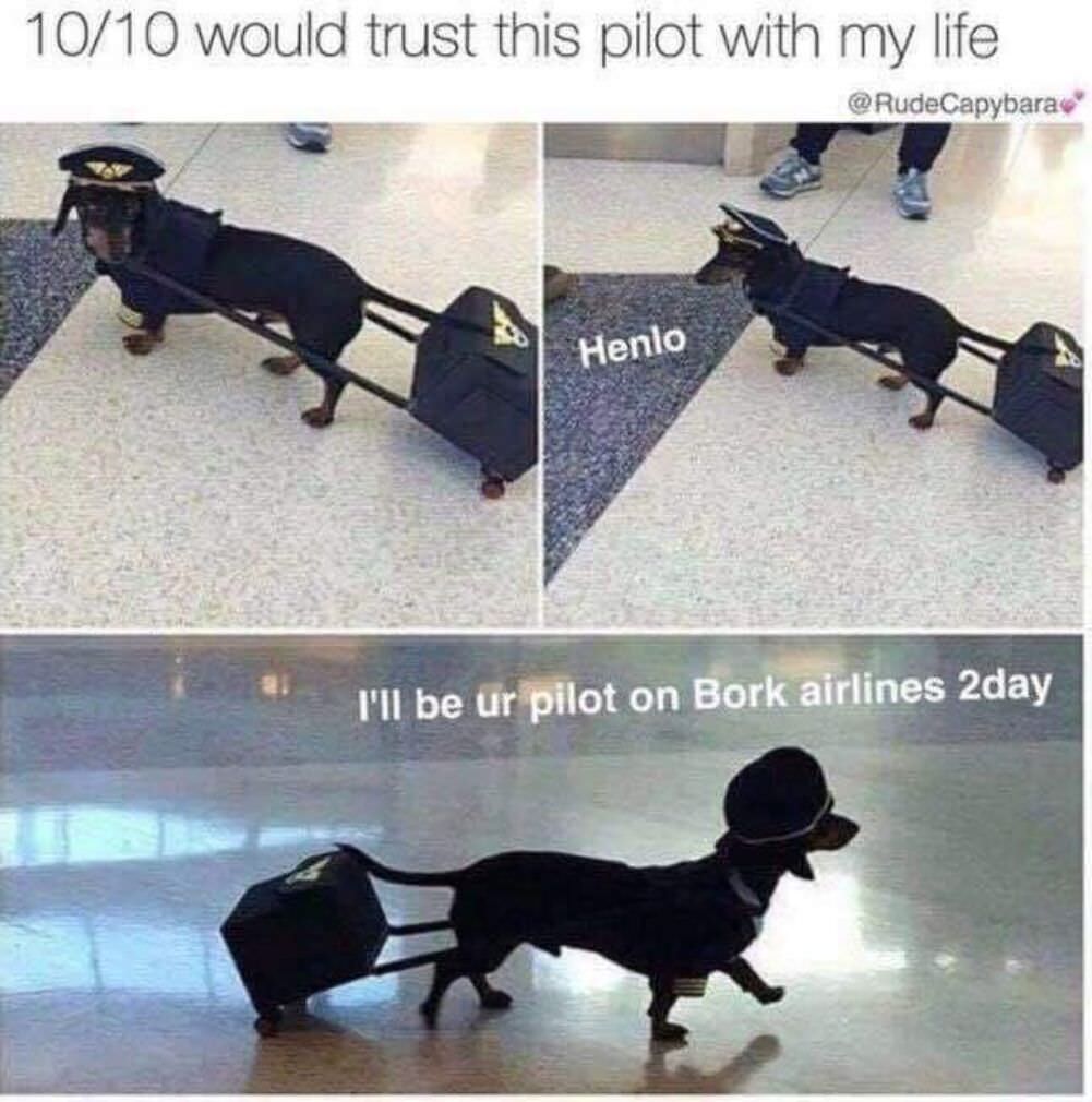 10 10 would trust