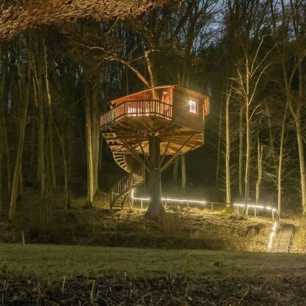 awesome tree house