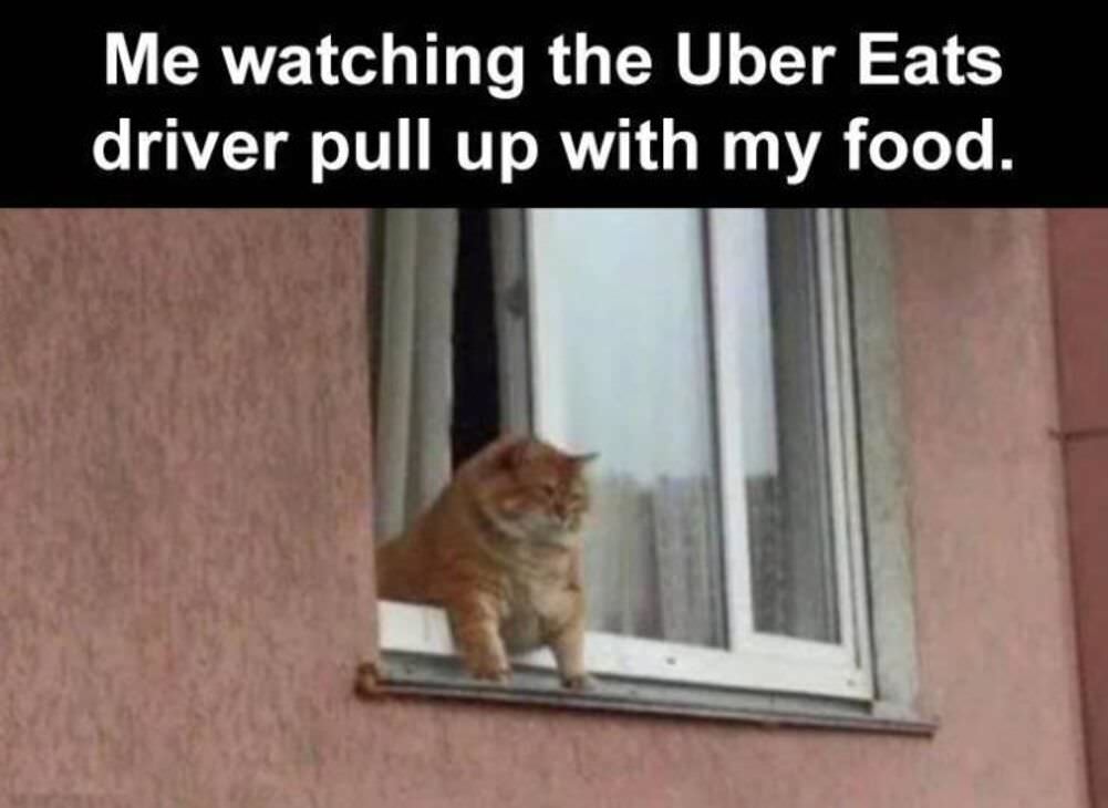 watching them pull up