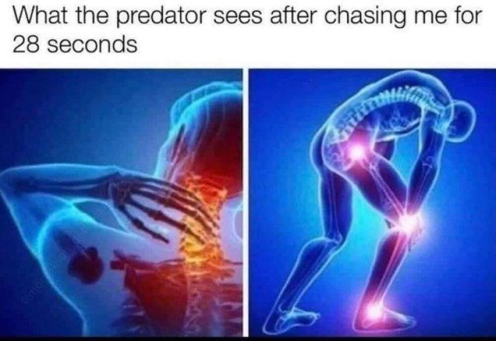 running from the predator
