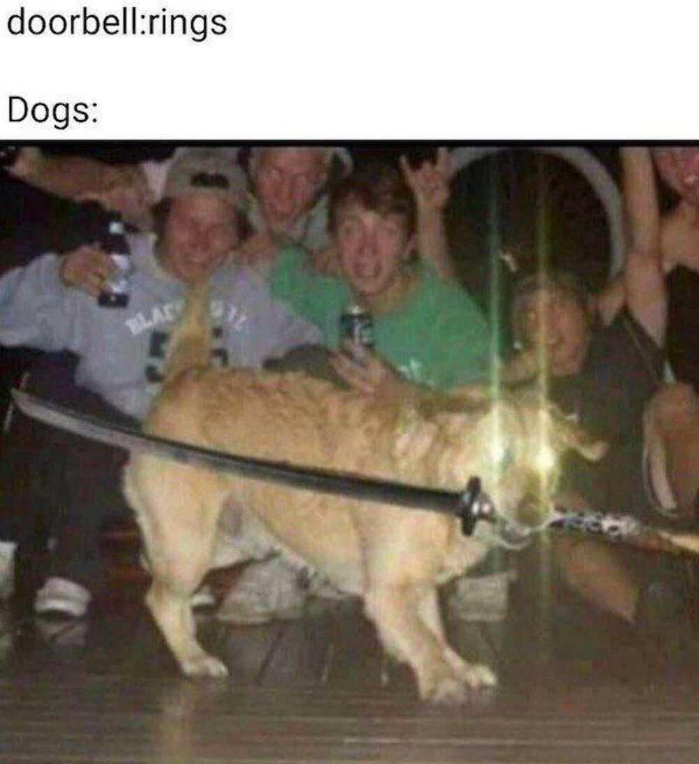 was that the doorbell