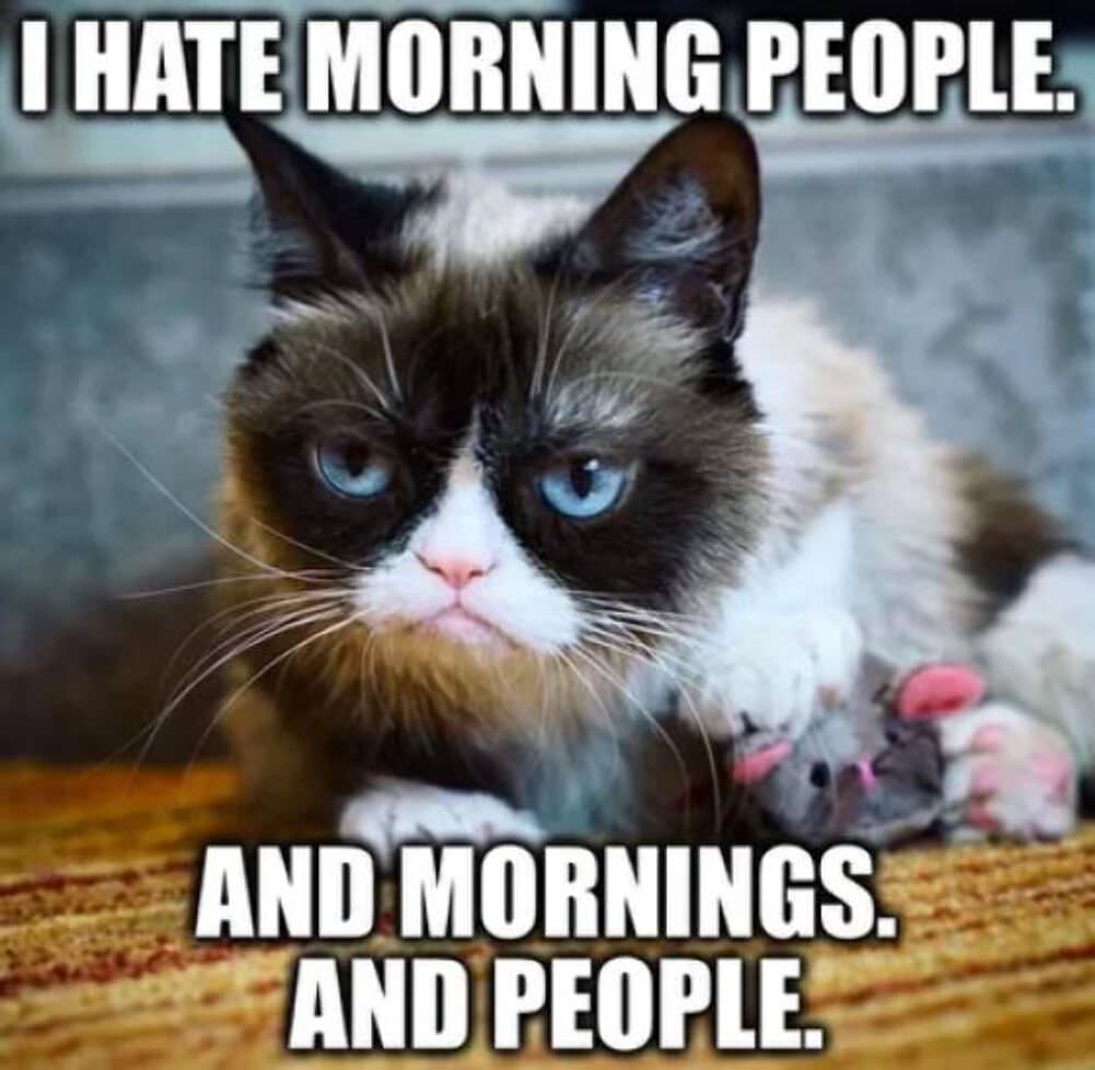 i hate mornings