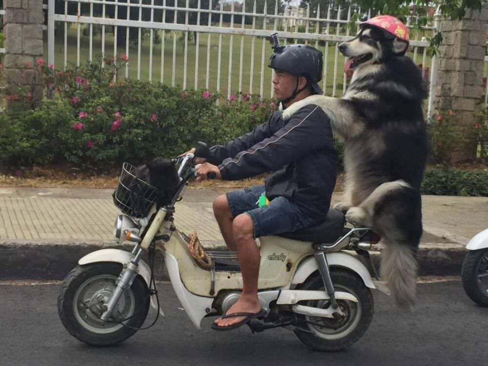 going for a ride